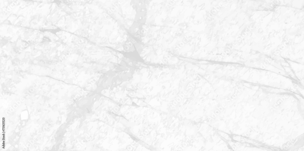 Surface cracked wall texture. cracked concrete wall covered with gray cement texture. Crack concrete white wall or Cement wall background. Cracked concrete texture background Abstract concept. Surface cracked wall texture. cracked concrete wall covered with gray cement texture. Crack concrete white wall or Cement wall background. Cracked concrete texture background Abstract concept.
