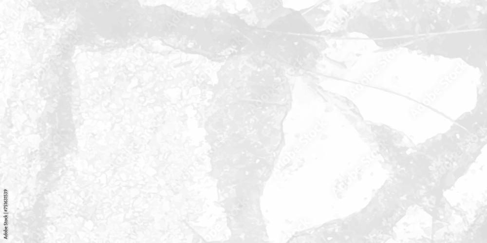 Fototapeta premium Surface cracked wall texture. cracked concrete wall covered with gray cement texture. Crack concrete white wall or Cement wall background. Cracked concrete texture background Abstract concept. 