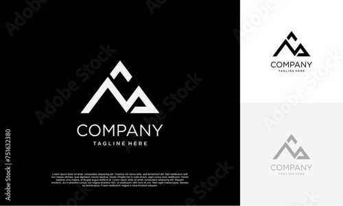 initial NS triangle Letter Logo Design triangle Monogram Icon Vector Template