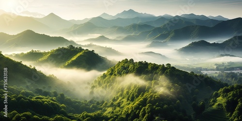 Beautiful green mountain landscape with morning sunrise sky and fog. Aerial view of green trees in tropical mountain forests and fog in winter. © Павел Озарчук