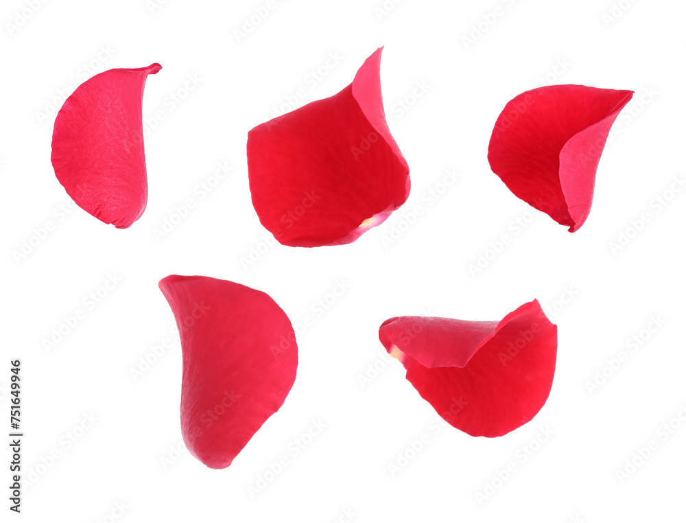Bright red rose petals isolated on white Bright red rose petals isolated on white