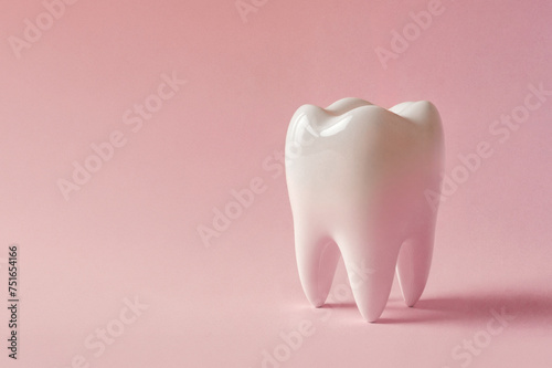 White molar tooth with four roots stand isolated on clean pink background. Oral care concept. Artificial premolar model