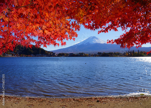 Day view of the snow-capped Mount Fuji framed by red Japanese maples in the fall in Lake Kawaguchi (Fujikawaguchiko), Japan © eqroy