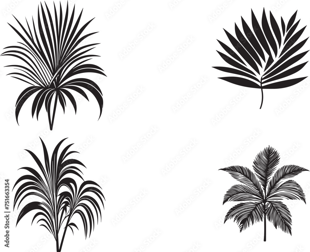 leaf palm tree silhouettes