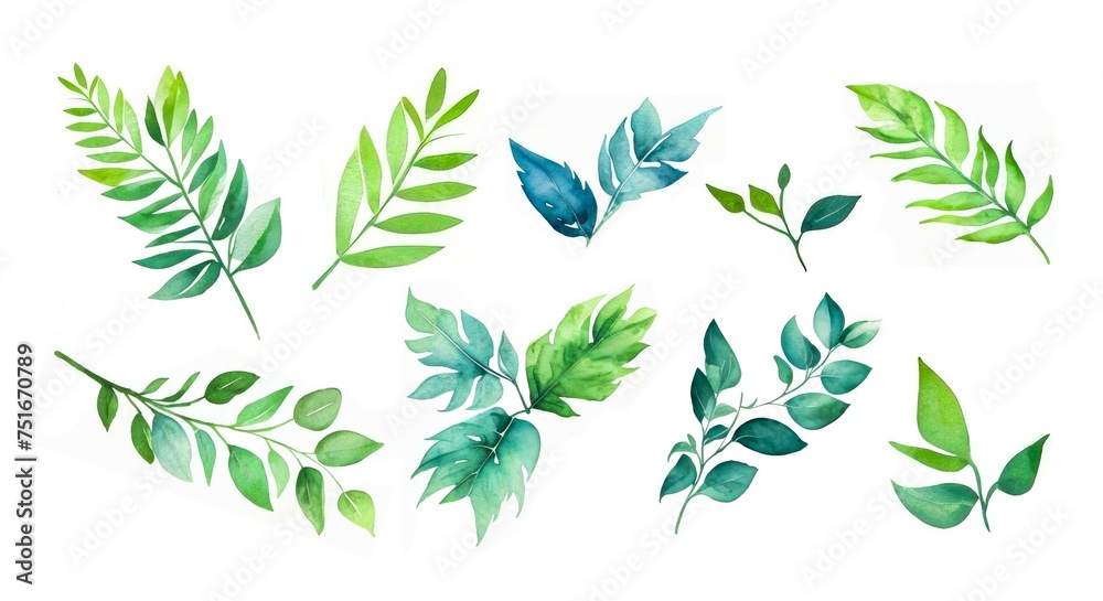 Set Of Watercolor Green Leaves Elements. Collection botanical isolated on white background. Suitable for Wedding Invitation, save the date, thank you, birthday or greeting card