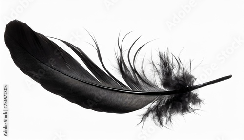 abstract black feathers floating in ther isolated on white background photo