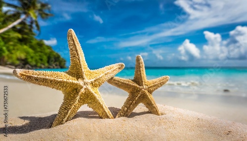 close up view of a couple of starfish on a tropical beach holiday and vacation concept created using tools