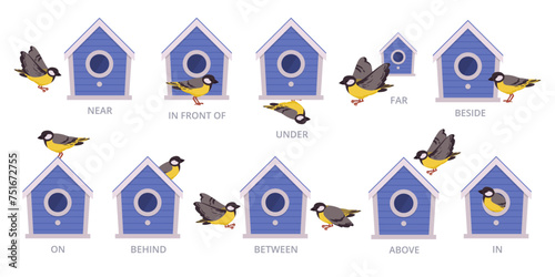 Birdhouse English prepositions. Birds position of bird house, above, around and above flat vector illustration set. Preposition school education