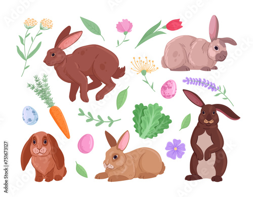 Cute spring rabbits. Fluffy Easter bunnies with flowers and vegetables  funny eared animals with greens and leaves flat vector illustration set. Domestic bunnies on white