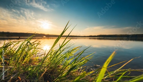 grass on the shore of the lake at sunset abstract nature background