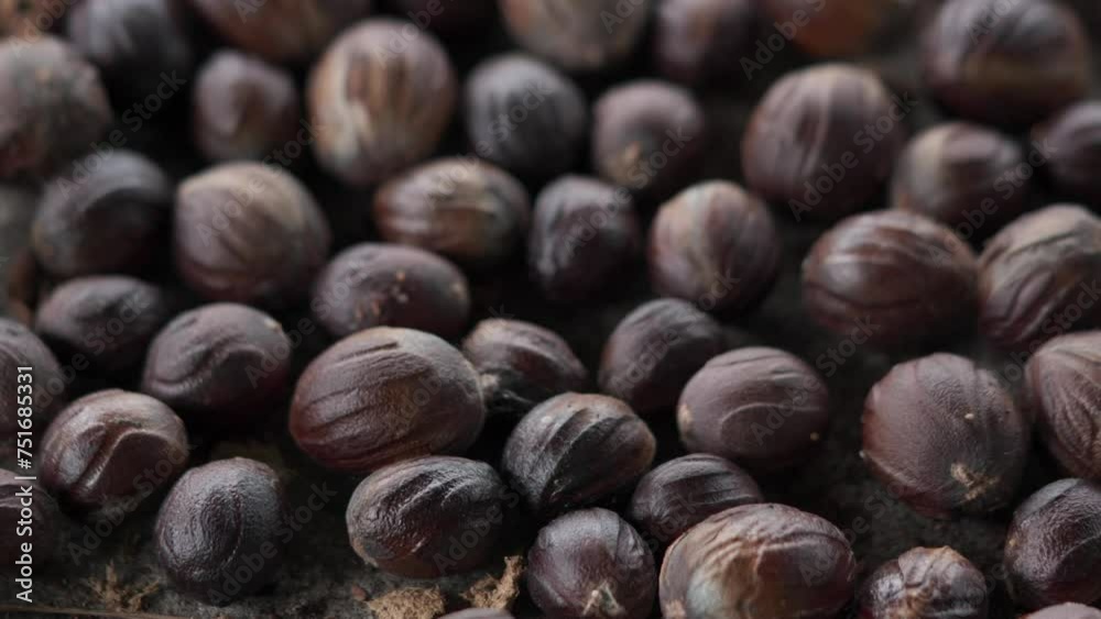 Dried nutmeg seeds can be used as a food spice and medicine