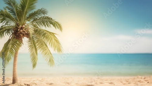palm tree on the beach summer background 