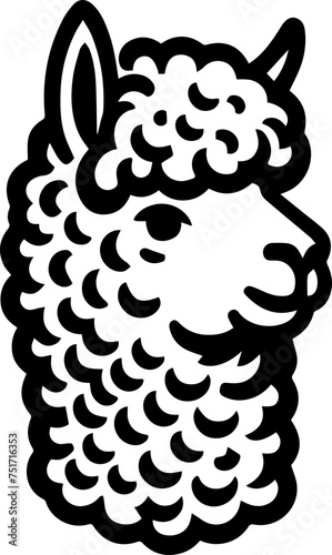  Alpaca animal