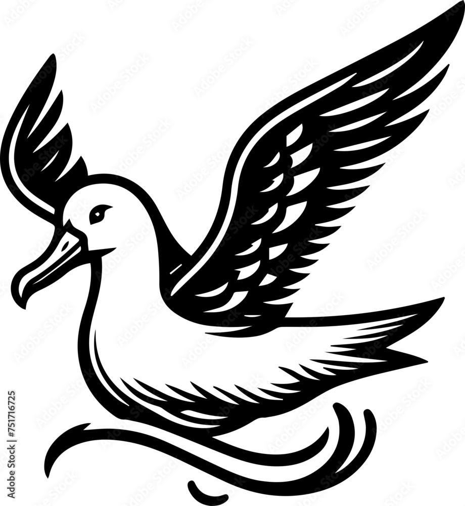 Obraz premium Albatross