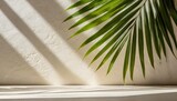 simplified background featuring a faint palm shadow cast on a plaster wall evoking a luxurious aesthetic typical of summer architecture interiors a mockup of a creative product platform stage is