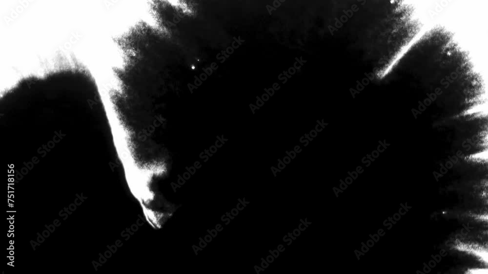 Turbulent painting blots spread in an abstract ink splatter transition of black and white across the canvas.