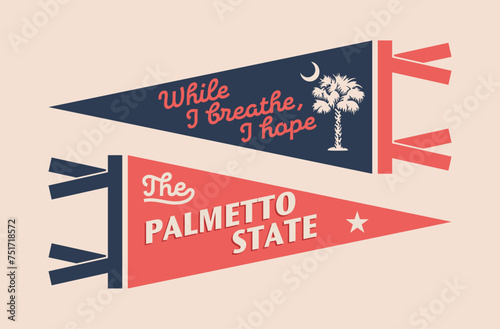 Set of South Carolina pennants. Vintage retro graphic flag, pennant, star, sign, symbols of USA. The Palmetto State.