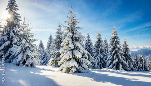 incredible snowy fir trees on a frosty day after a heavy snowfall