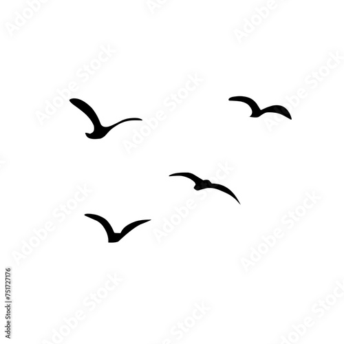A Flock of Bird Silhouette © G