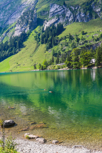 View of Lake Seealpsee near Appenzell in the Alpstein mountain range, Ebenalp, Switzerland