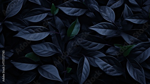 foliage dark leaves background © vectorwin