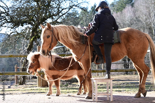 Bereit zum Ausritt. Mädchen steigt auf Pferd neben einem Pony
