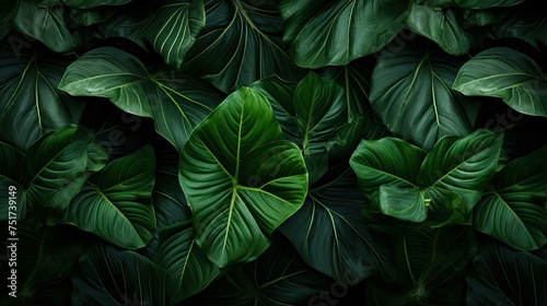 green botanical leaves background