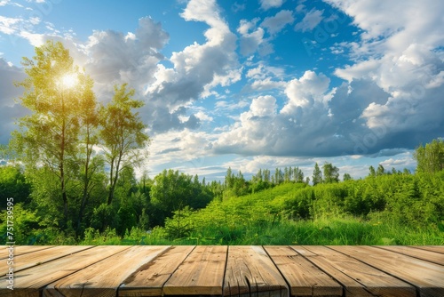 Green landscape with wooden top against the sky