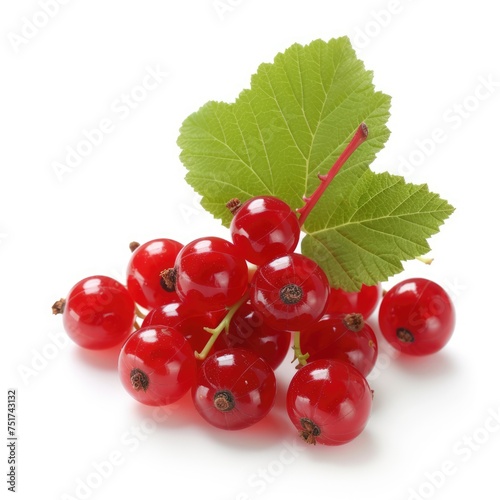 Red currant berry with leaf isolated on white background. 