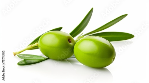 A composition of a green olive branch isolated on a white background, suitable for package design.