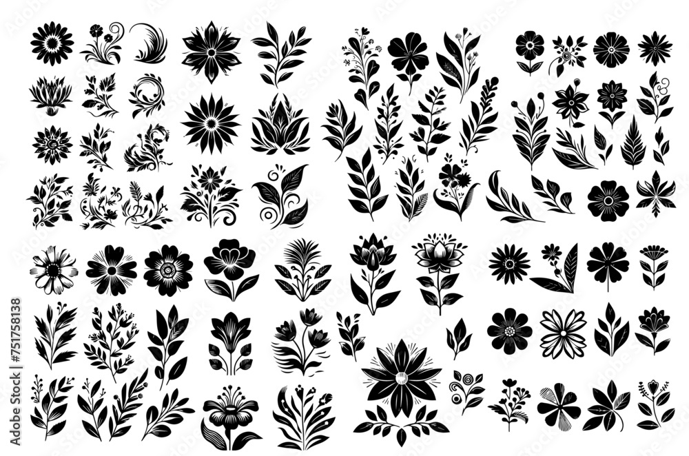 A Stunning Collection of Vector Florals: Explore an Assortment of Plants and Flowers in Detailed Illustrations