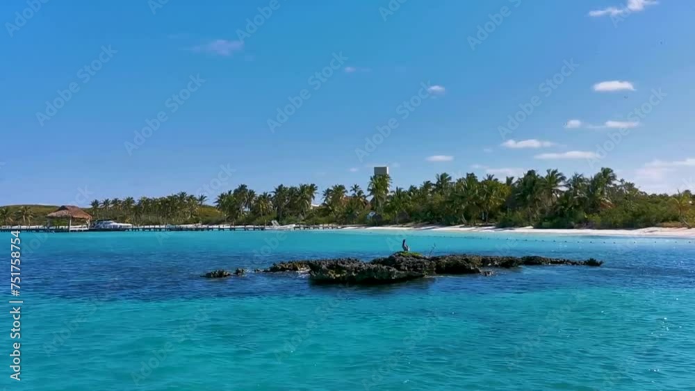 Beautiful tropical natural beach jungle forest panorama Contoy island Mexico. Beautiful tropical natural beach jungle forest panorama Contoy island Mexico.