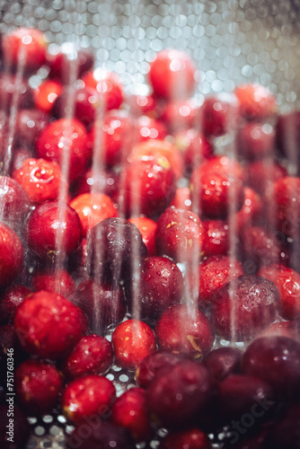 Cranberries being rinsed in a sink