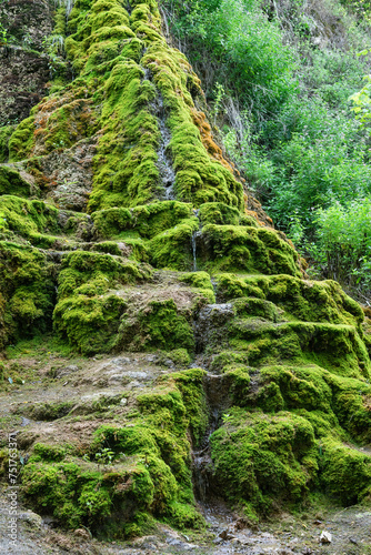 Cascada Socol. Waterfall socol. River stream. Moss covered rocks