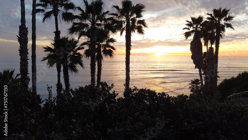 Southern California beaches  sunsets  surfers  tide pools and palms trees at Swamis Reef Surf Park and Moonlight Beach in Encinitas California.