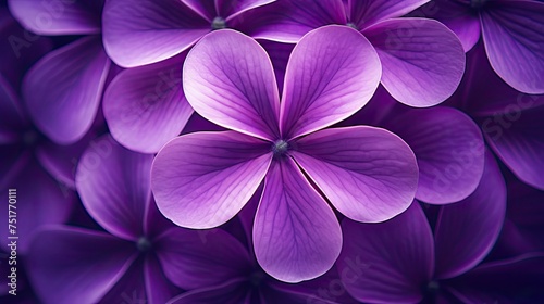 geometric shape violet background