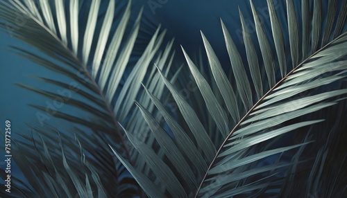 tropical palm leaf abstract blue background