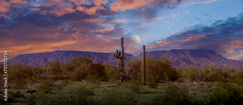 Late moon set in springtime in Arizona desert with a saguaros cactus and dramatic cloudy sky in the early morning landscape by the flat top mountain range 