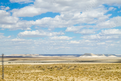 Gora Bokty rock formation  Mangystau desert landscape  Kazakhstan