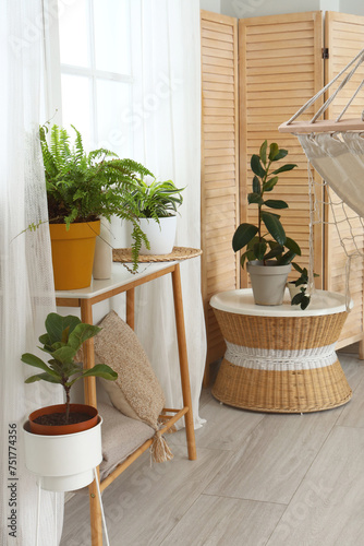 Interior of living room wit...