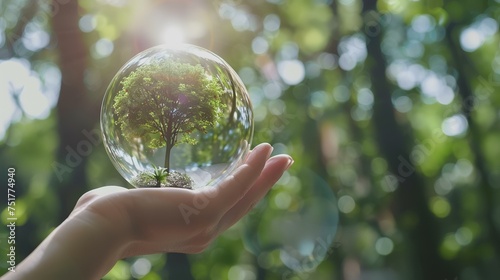 A human hand holding a crystal ball with a tree in the forest.