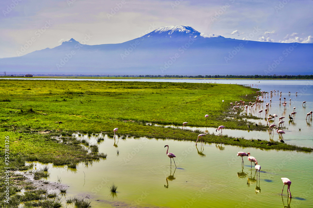 Painting like scene of Flamingos feeding in the tranquil waters of Lake Amboseli under the mighty shadow of Mount Kilimanjaro at Amboseli National Park, Kenya