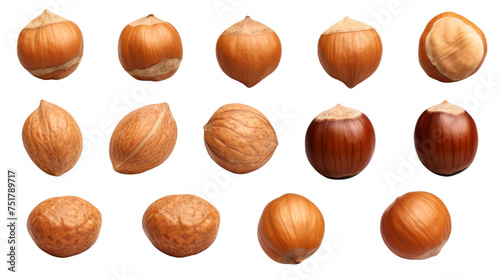 Set of Hazelnuts Isolated on Transparent Background, (PNG).