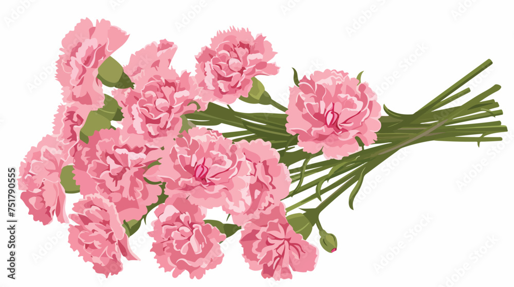 A bouquet of pink carnation of Mothers Day. isolated