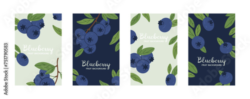 Blueberries posters. Fresh blueberry with leaves, juicy hand drawn blueberries flat vector background illustration set. Delicious blueberry backdrops