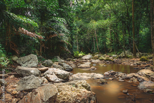 Small river in the jungle with large stones along the river