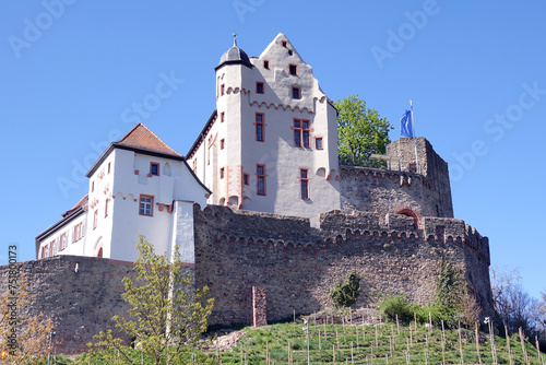 Burg Alzenau photo