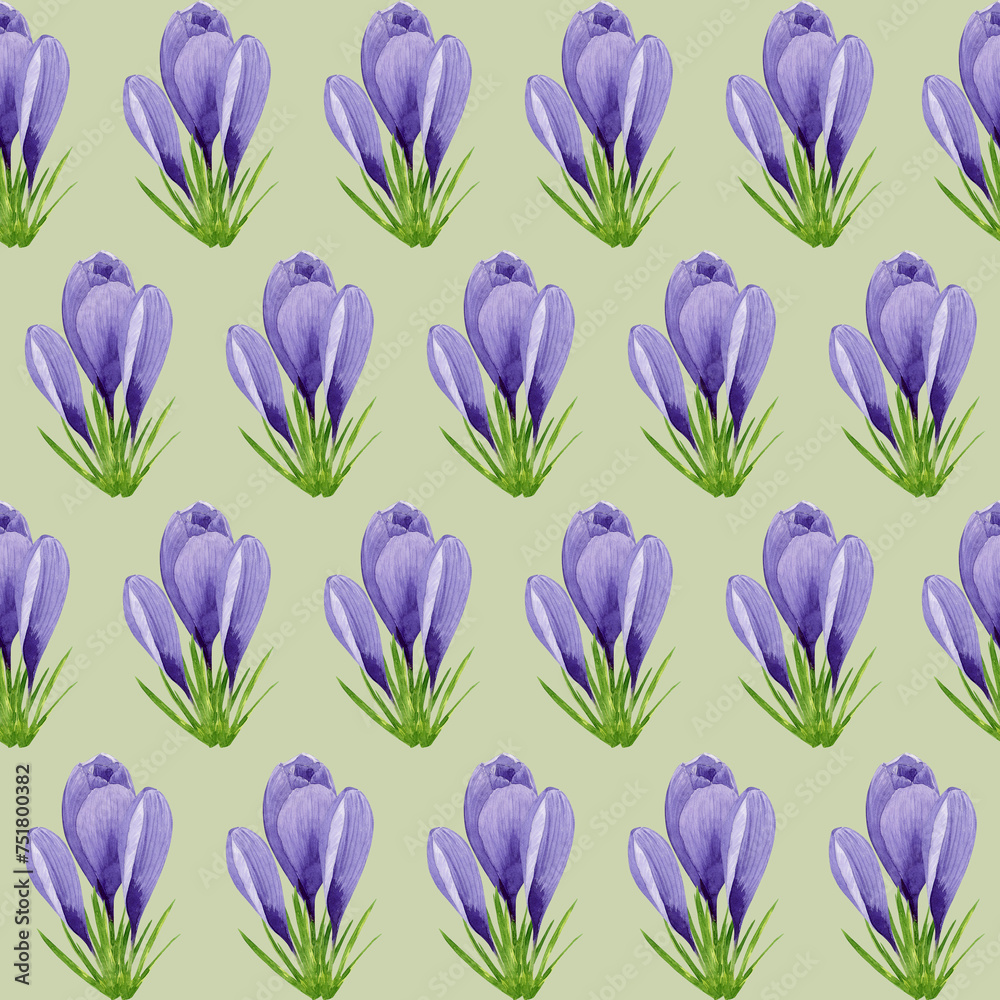 Watercolor spring crocuses seamless pattern, spring flower digital paper on green background. Hand painted floral illustration. For textile design, packaging, wrapping paper, wallpaper, scrapbooking. Watercolor spring crocuses seamless pattern, spring flower digital paper on green background. Hand painted floral illustration. For textile design, packaging, wrapping paper, wallpaper, scrapbooking.