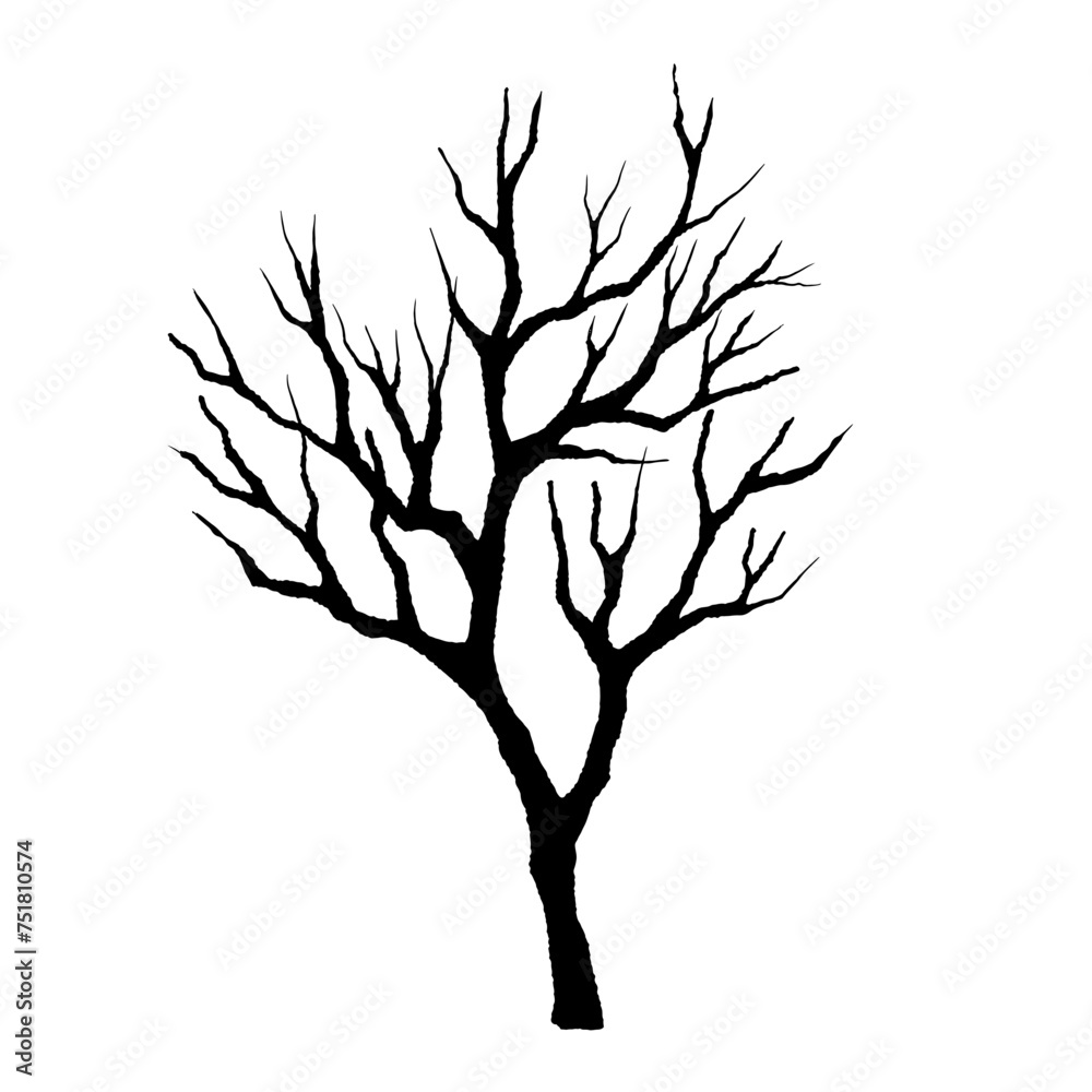 Leafless winter tree. Hand drawn sketch. Line art. Black and white design element on white background. Isolated. Tattoo image Leafless winter tree. Hand drawn sketch. Line art. Black and white design element on white background. Isolated. Tattoo image