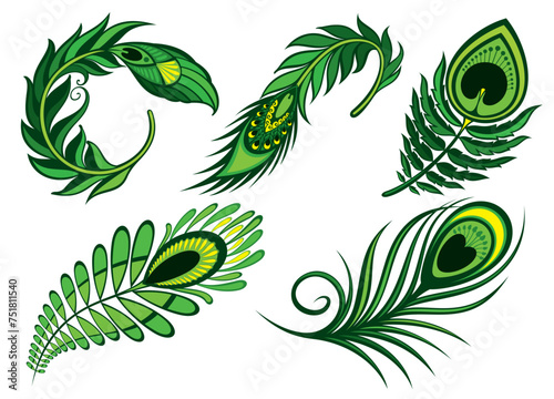 Green Set of peackok featherrs. Bird feathers design. Vector illustration. photo